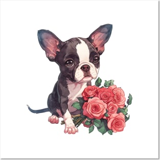 Valentine Boston Terrier Dog Giving Flowers Posters and Art